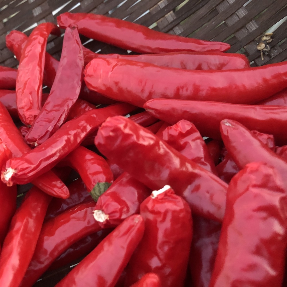 辛さ薫る 乾燥唐辛子ホール 農家漁師から産地直送の通販 ポケットマルシェ