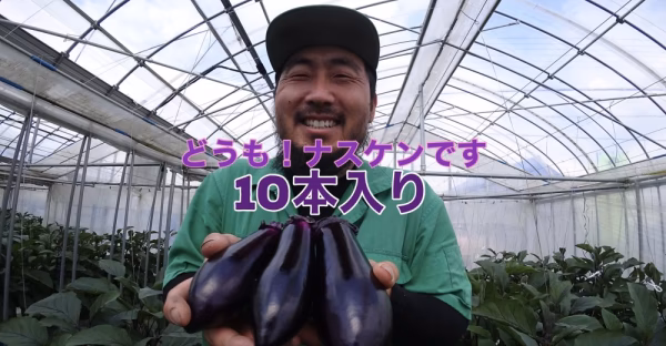 10本入り【2020年度 トロリンチョなすこと「マルホナス」