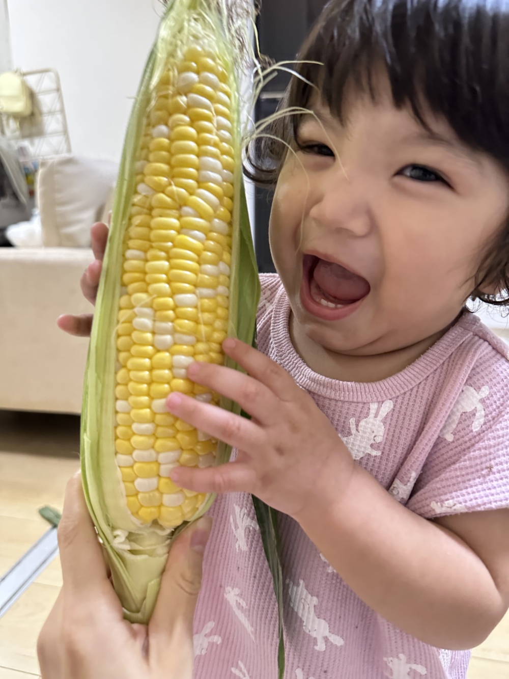 Ryo⭐︎生でも食べられるとうもろこし（ドルチェドリーム20本） 品種ドルチェドリーム】生でも食べられるとうもろこし大サイズ10