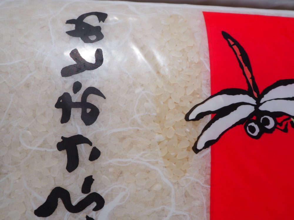 千葉県産 ふさおとめ 5kg  令和5年産 米 お米