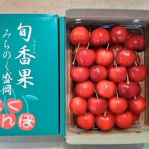 これが噂の盛岡さくらんぼ　佐藤錦