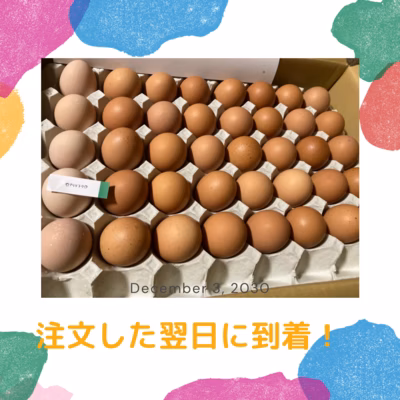 みんなの投稿の画像