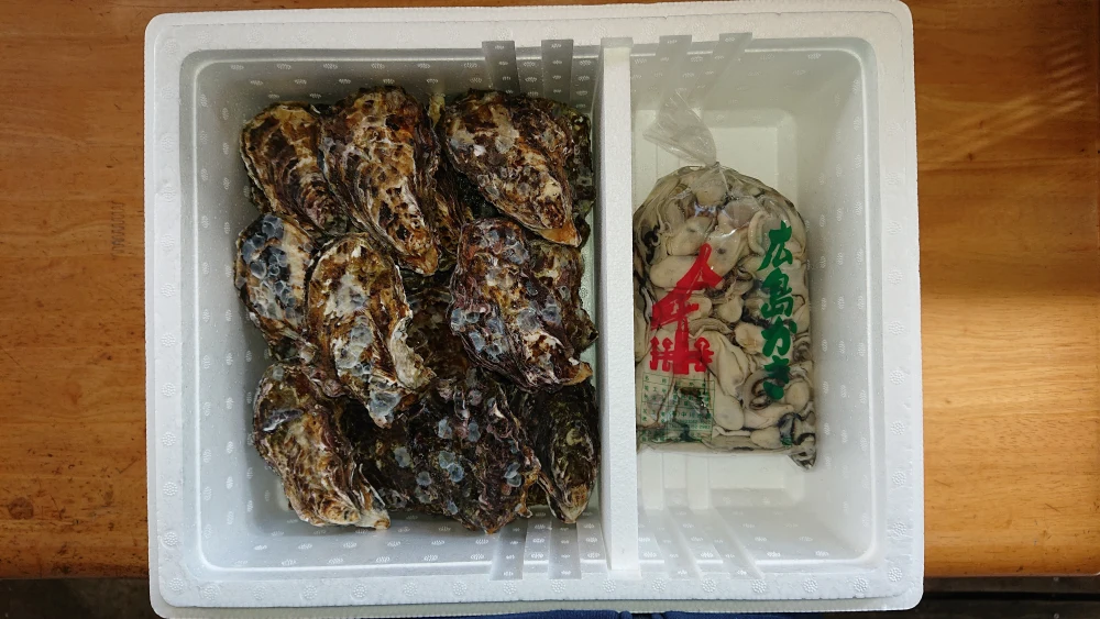 広島県音戸産 生食用むき身&加熱用殻付き牡蠣セット