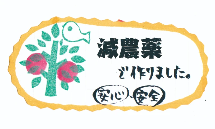 春のシナノスイート Sサイズ小玉 飯綱町・三水産 減農薬 特別栽培