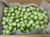 青梅★1ｋｇ〜　かんたん梅干しレシピつき