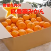  低農薬みかん５㎏【12月よりお届け】