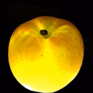 「話題の こうとく! 」家庭用約2.7Kg『高徳はこ こみつ けたら即買い！』