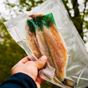 【野趣に富んだ味わい】イワナの一夜干し (冷凍)