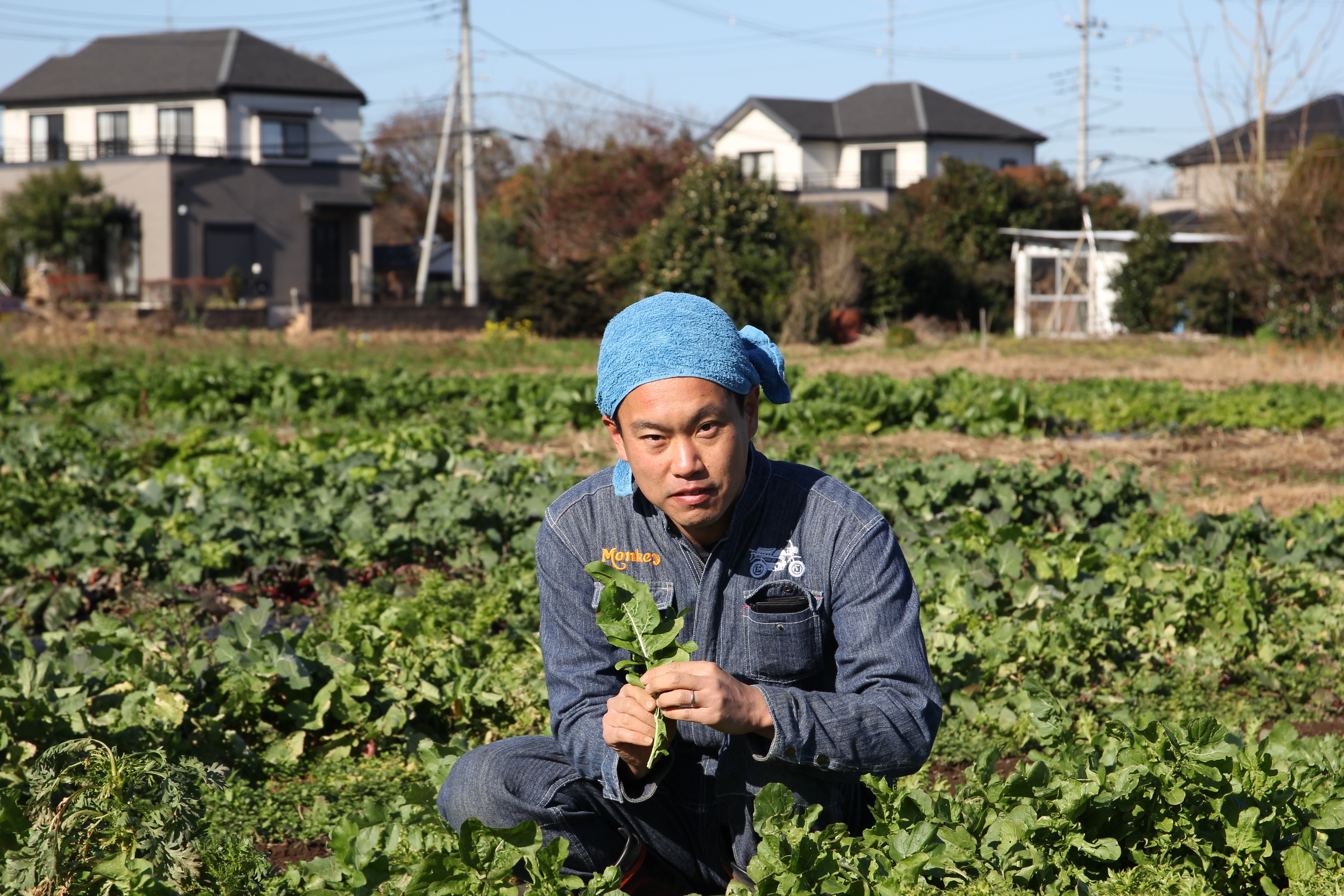 無肥料（むひりょう）・無農薬栽培」ってなに？全国でも稀な農法に挑む