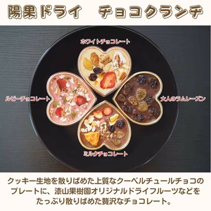 【春の福袋】特別価格！箱入り★ドライフルーツ入りハートのチョコクランチ4種