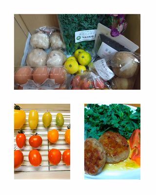 みんなの投稿の画像