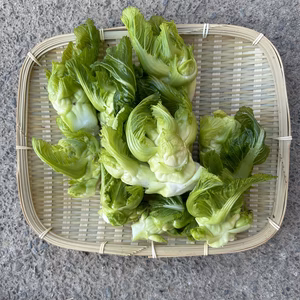 ice bear様専用　春をつげる！子持ち高菜(祝蕾)/常温
