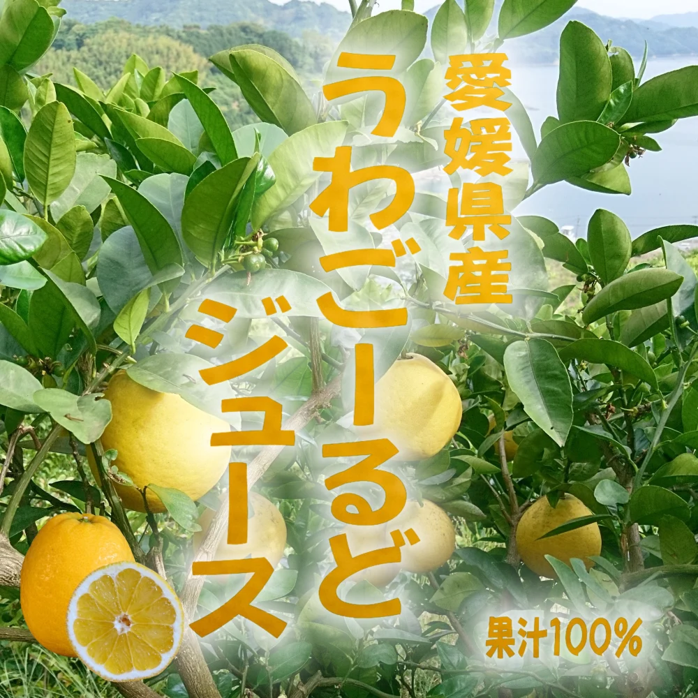 愛媛県産　うわごーるど（河内晩柑）ジュース