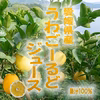 愛媛県産　うわごーるど（河内晩柑）ジュース