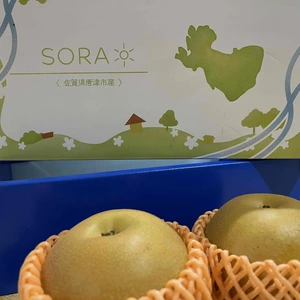 【SORA】二代目川添果樹園のシャキシャキあきづき梨