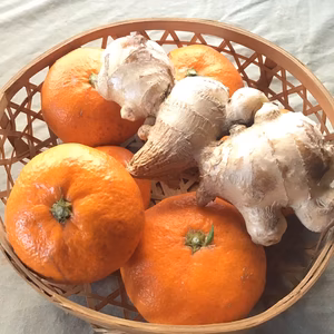 限定コラボ！温州みかんと生姜セット【農薬不使用】