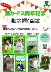 【6周年福袋】お茶農家６名コラボ★お茶飲み比べセット(農カード付)