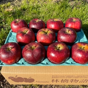 りんご好きには「秋映（あきばえ）」