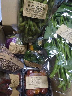 みんなの投稿の画像