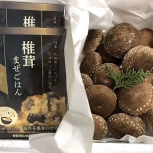 生しいたけ(500g)+椎茸まぜごはん（２個）セット