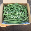 鹿児島産サヤインゲン500g^_^