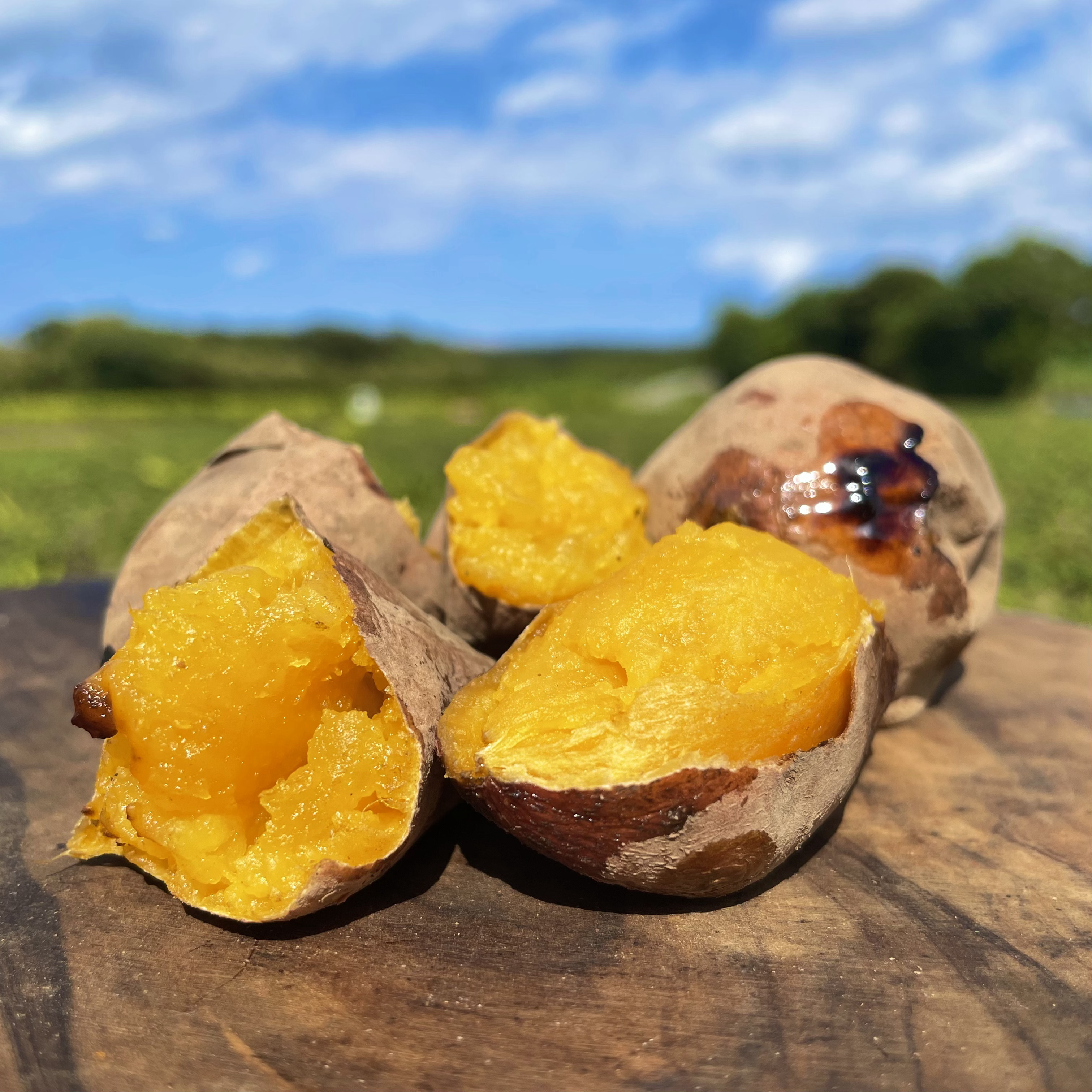 絶品】種子島産 安納芋 3Sサイズ｜aimo農園｜さつまいもの商品詳細