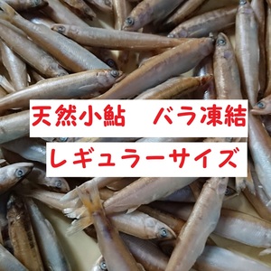 ★冷凍★　琵琶湖産【天然】小鮎　1尾9cm前後 、10g前後 稚鮎・子鮎
