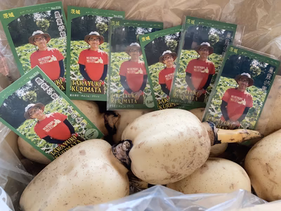 みんなの投稿の画像