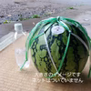懐かしのスイカ!?金山スイカ