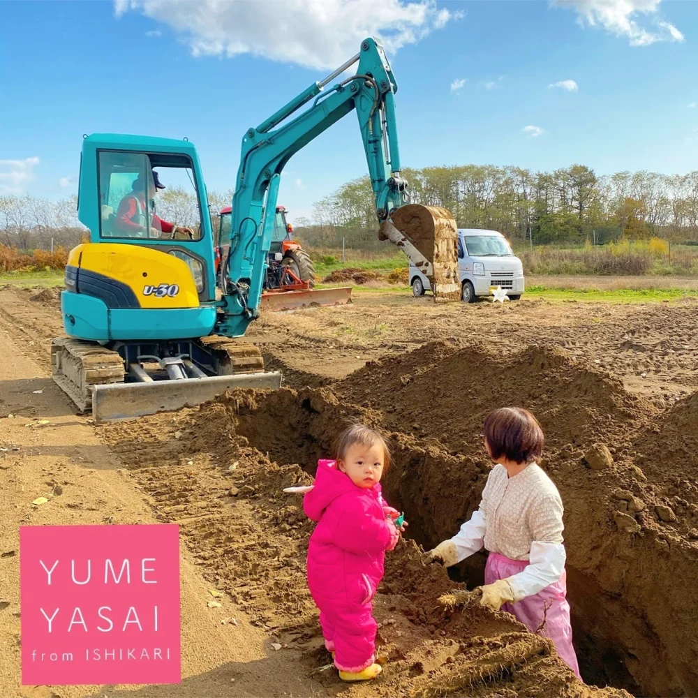 ゆめとろろ(太め)【粘りが強い!!】北海道産 掘りたて長いも