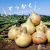 『ズシッとくるんッスよ！大きな玉ねぎズシッとくるんッスよ』淡路島産たまねぎBIG