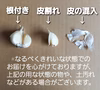 【ゆうパケット満杯】にんにく不揃い