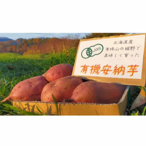 有機安納芋！お買い得！熟成おまかせ掘りたてです。農薬・化学肥料・除草剤不使用