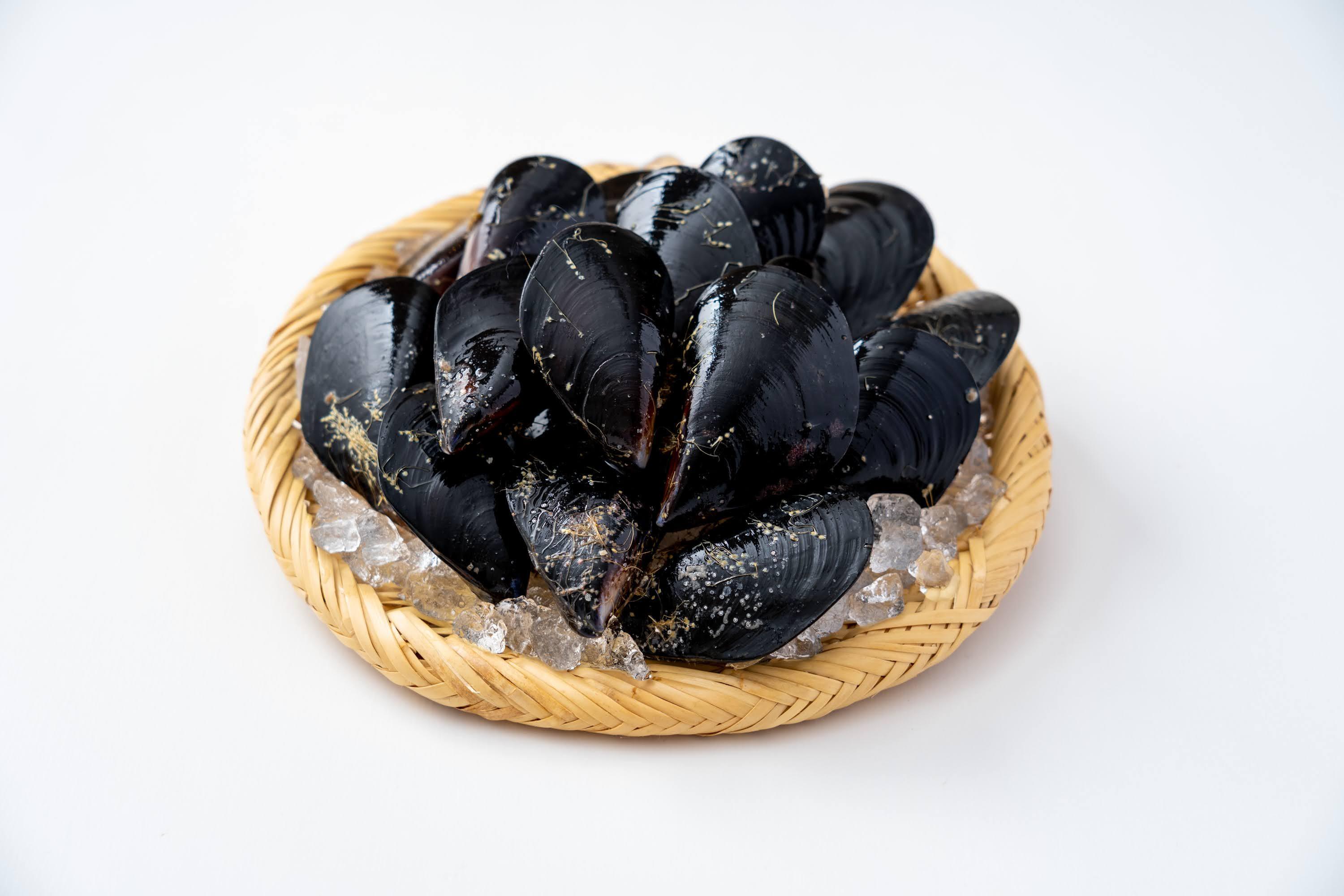 ムール貝|岩手県越喜来湾崎浜産 1kg|2〜3人前