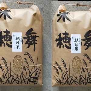 新米23年度産　20年以自然栽培のお米（おいしい玄米20ｋｇ）昔の品種：朝日米　