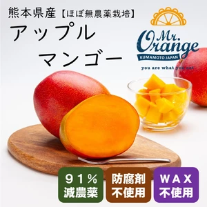 【ほぼ無農薬栽培】アップルマンゴー（サイズ混合）