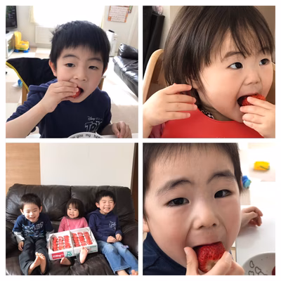 みんなの投稿の画像