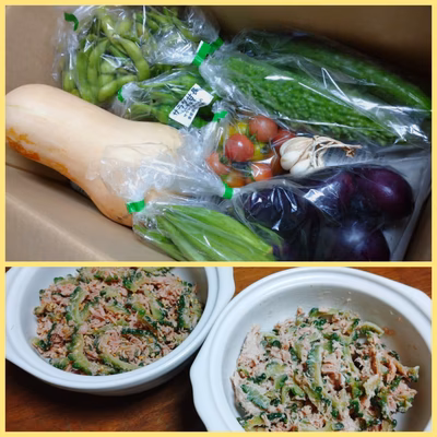 みんなの投稿の画像