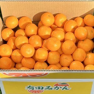 【サイズ混合】2022年度 和歌山県産 有田みかん(箱込約5kg)