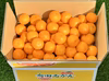 【S,M,Lサイズ混合】2025年和歌山県産 有田みかん箱込約5kg
