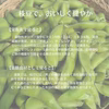 【期間限定】枝豆「丹波黒大豆」1.8KG 　農薬・肥料不使用