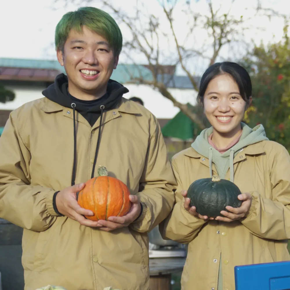 かぼちゃ専門農家が作る冬至カボチャ（ダークホース）1個入り｜野菜の
