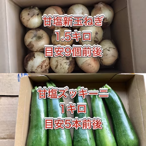 【鹿児島産】甘塩新玉ねぎ1.5キロ・甘塩ズッキーニ1キロ^_^
