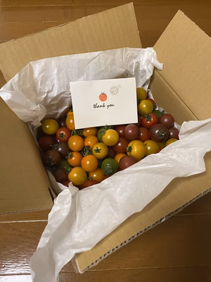 みんなの投稿の画像