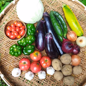 ポップコーン＋夏野菜の詰め合わせ【5品おまかせミニセット】