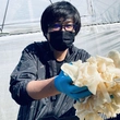 藤原幸栄