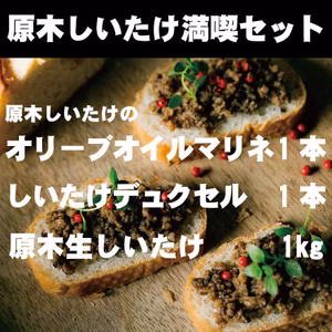 原木しいたけ満喫セット