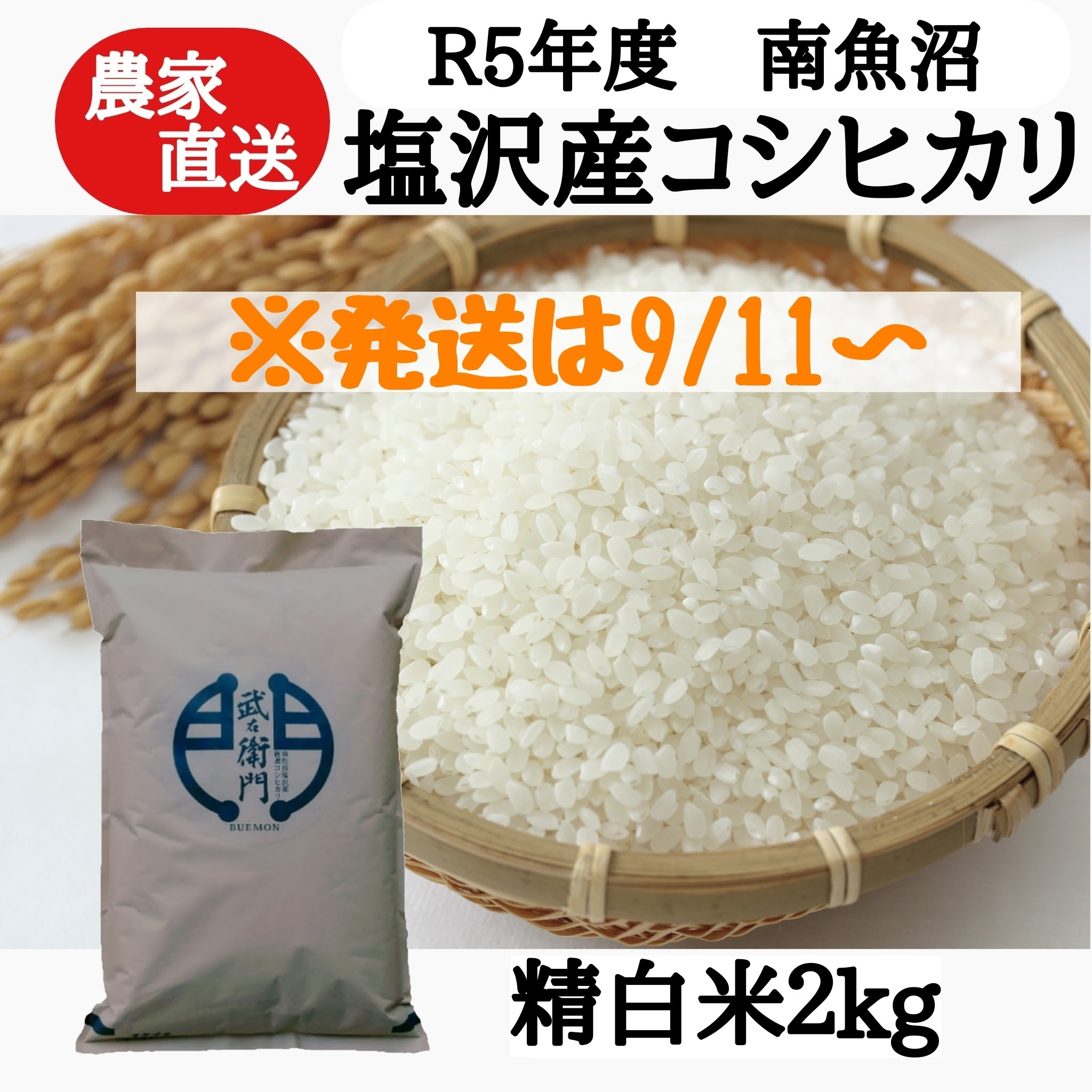 令和5年度産 魚沼産こがねも もち米 殺虫剤不使用 白米5kg - 米