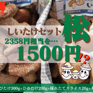 【お試しBOX】豪華なしいたけ詰め合わせセット！【松セット】