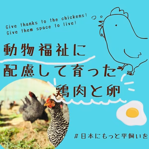【動物福祉】に配慮して育った鶏肉と平飼い卵！